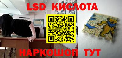 крисы Камышлов