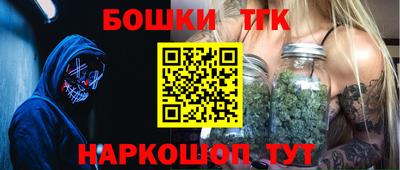 крисы Камышлов