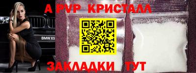 крисы Камышлов