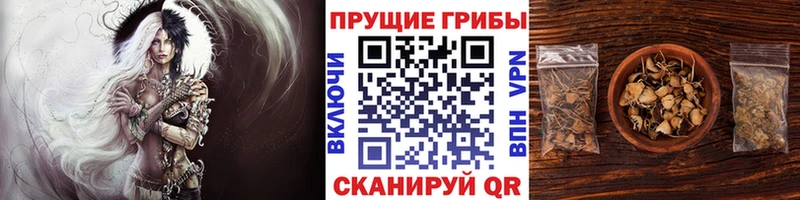 Галлюциногенные грибы Cubensis Кушва