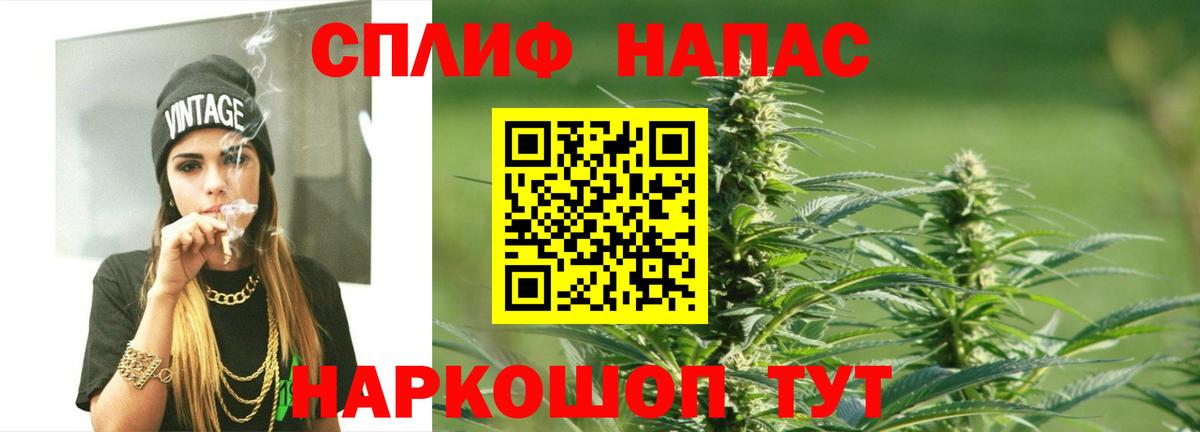 Каннабис планчик  Кушва  Канабис OG Kush  Шишки марихуана семена 